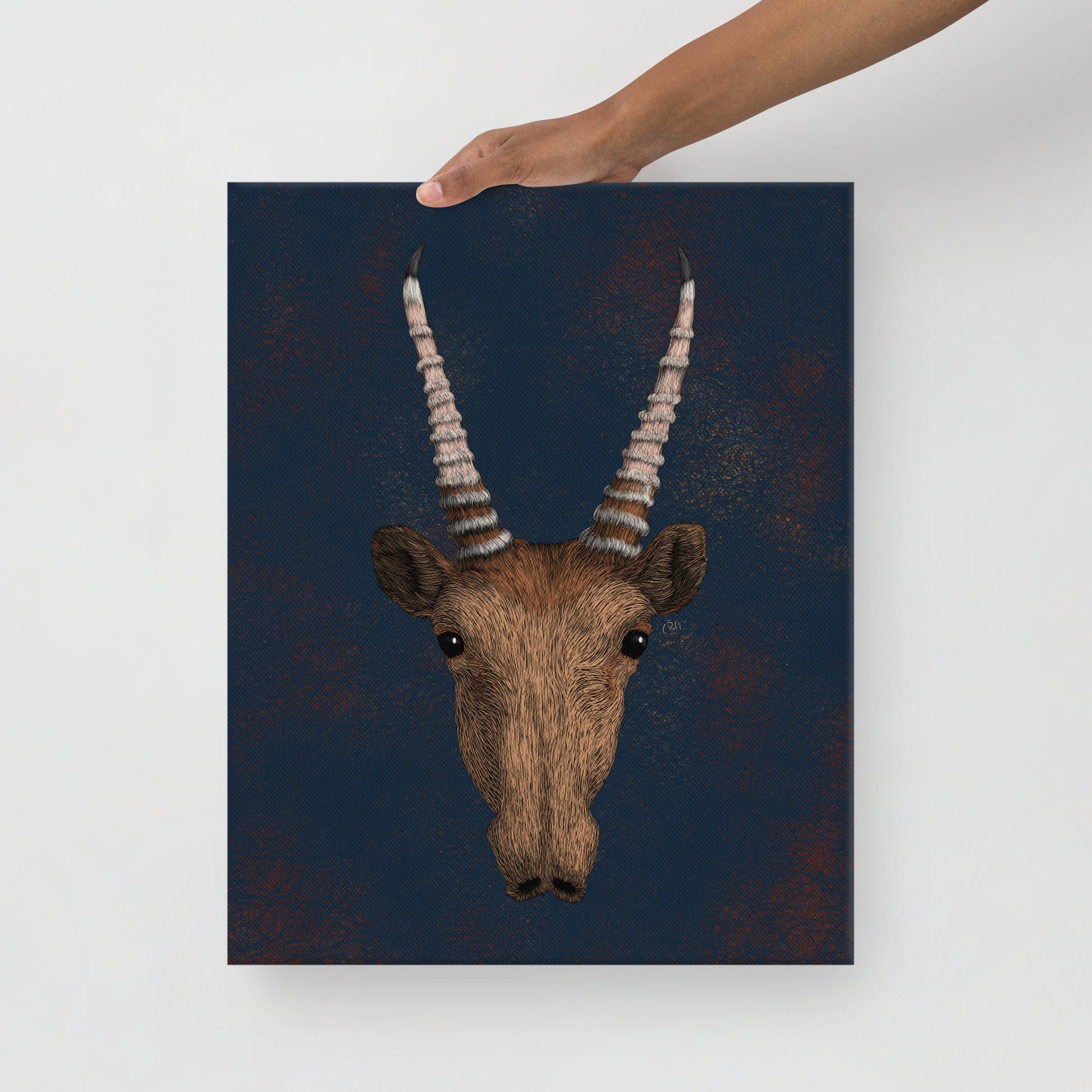 Saiga Antelope, 2020