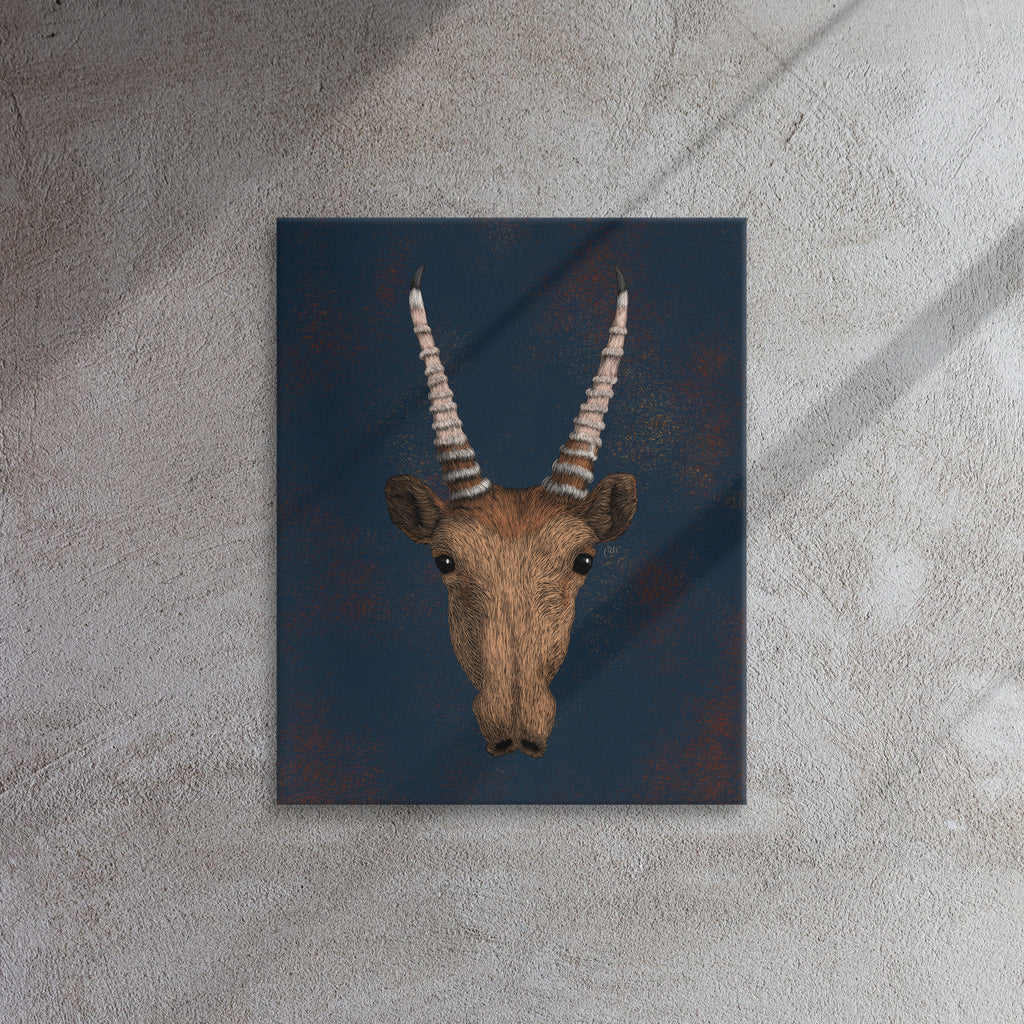 Saiga Antelope, 2020