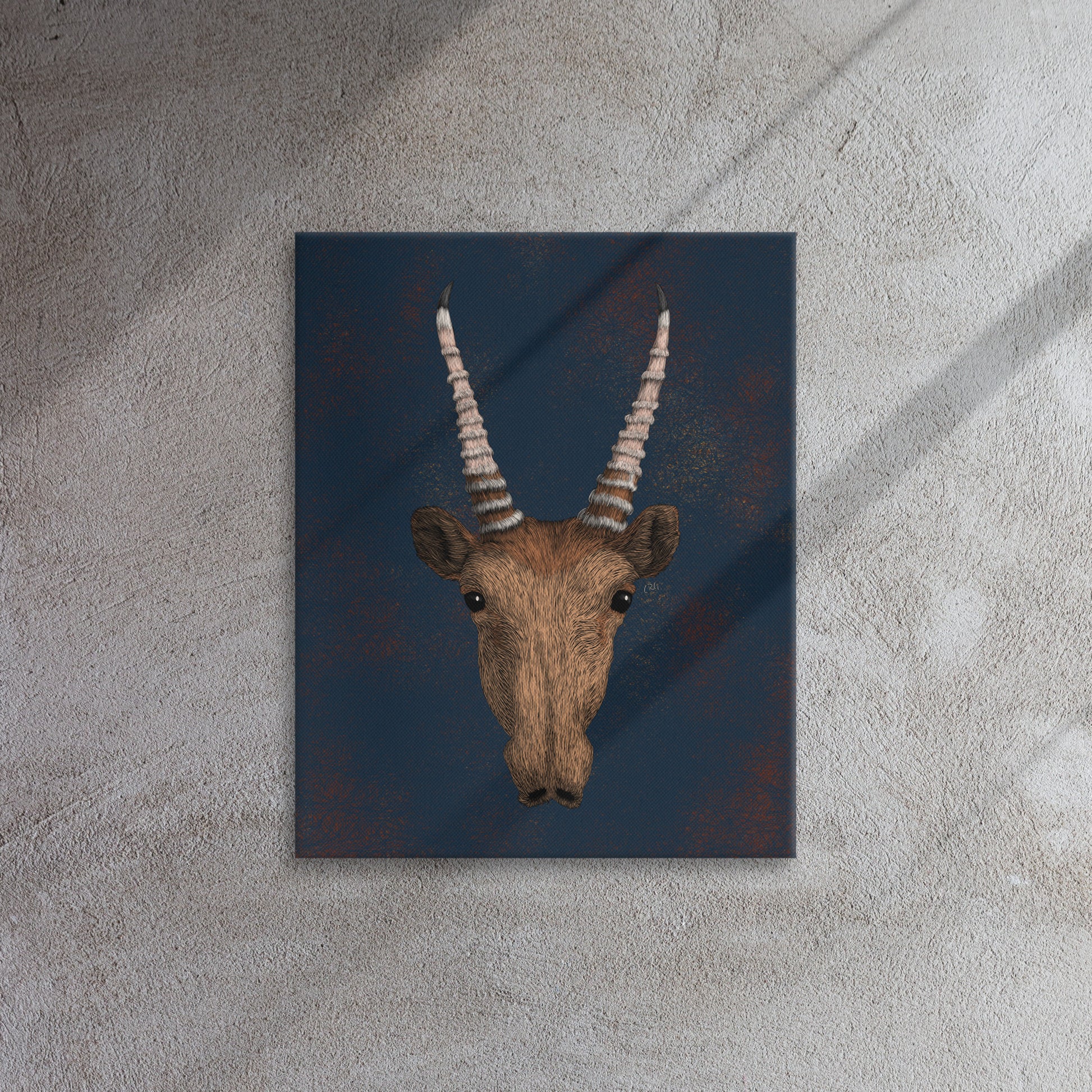 Saiga Antelope, 2020