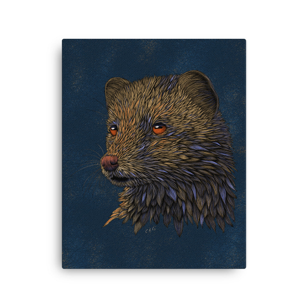 Mongoose, 2023