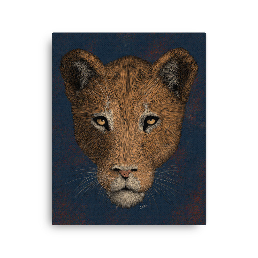 Lioness, 2021