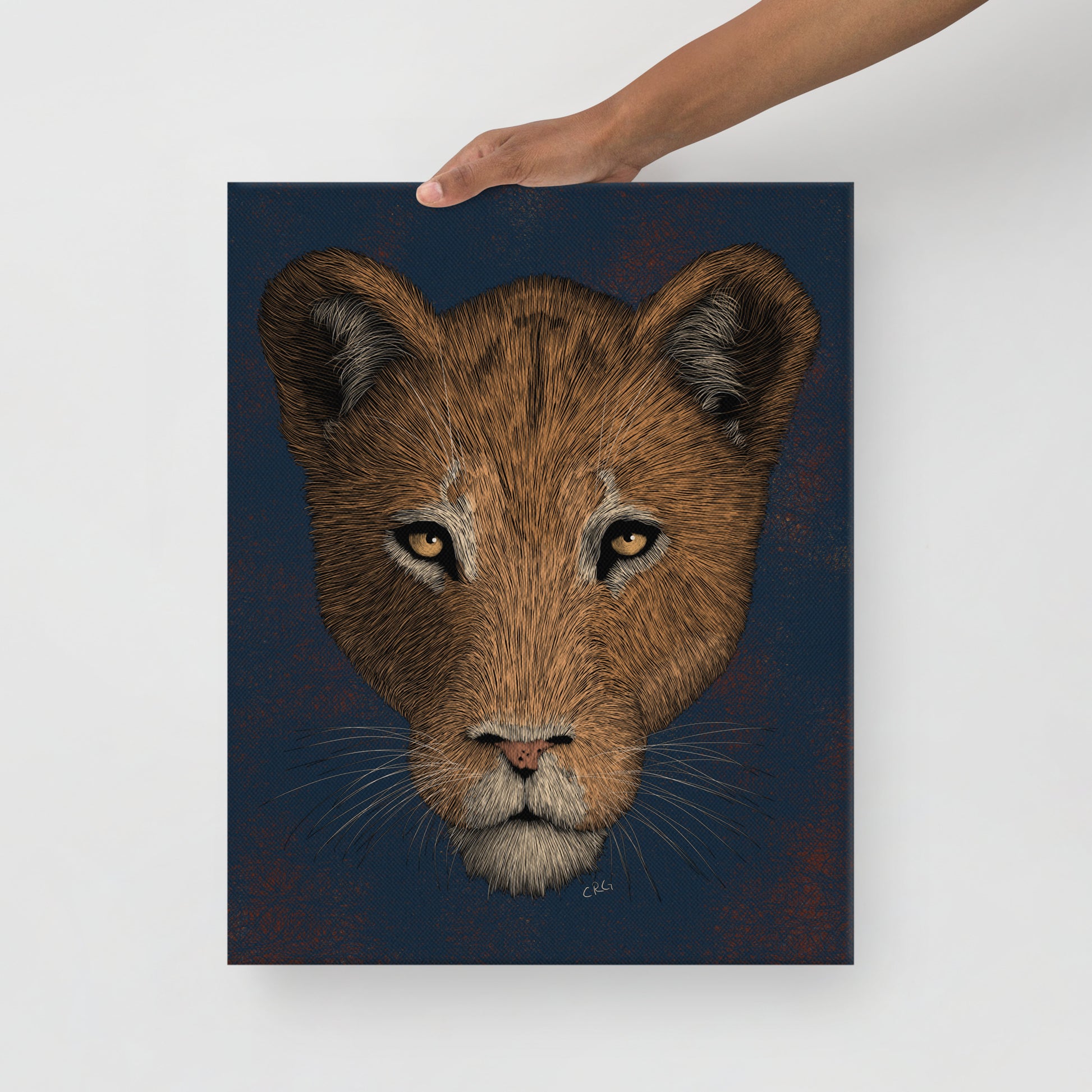 Lioness, 2021