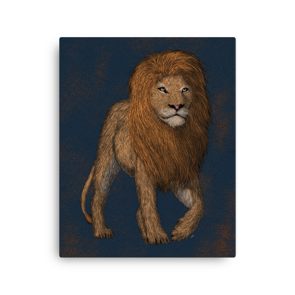 Lion, 2020