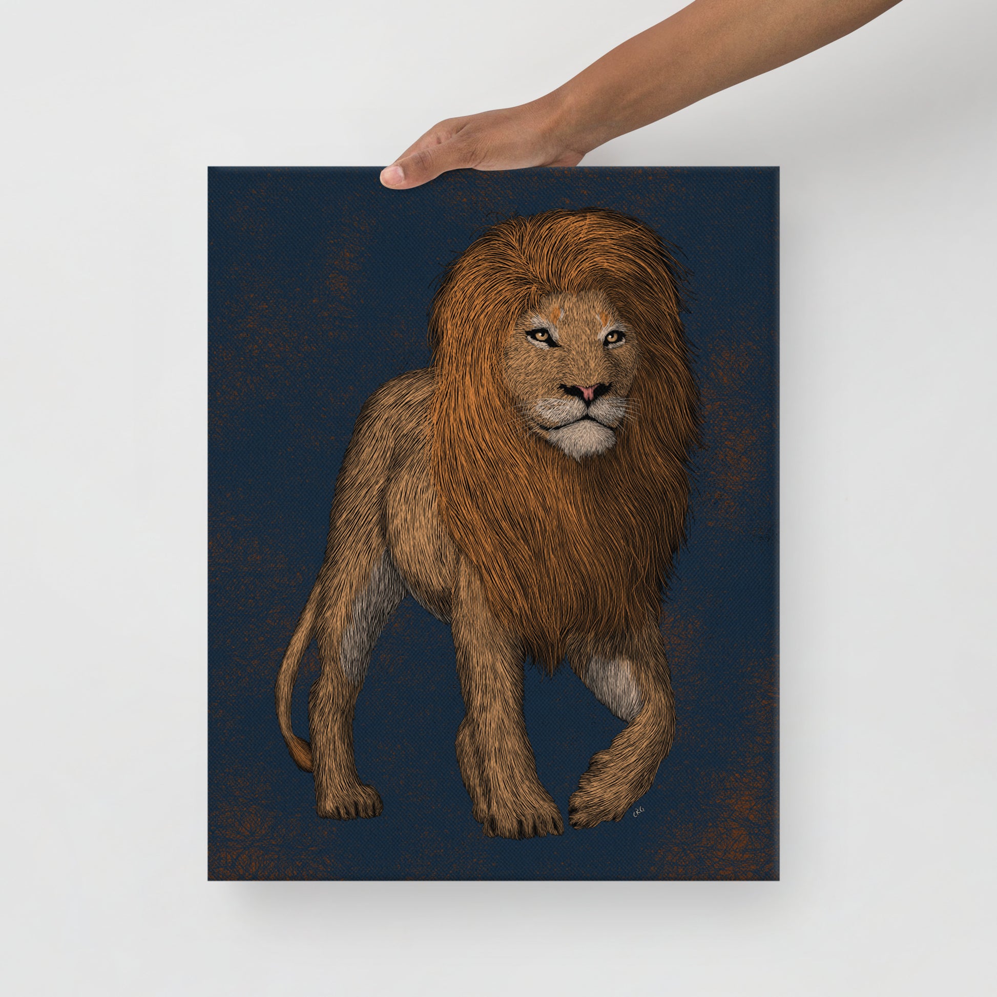 Lion, 2020