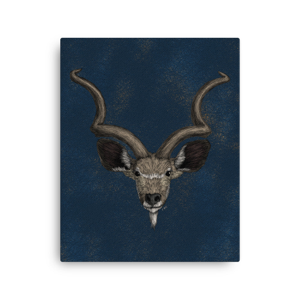 Kudu, 2022