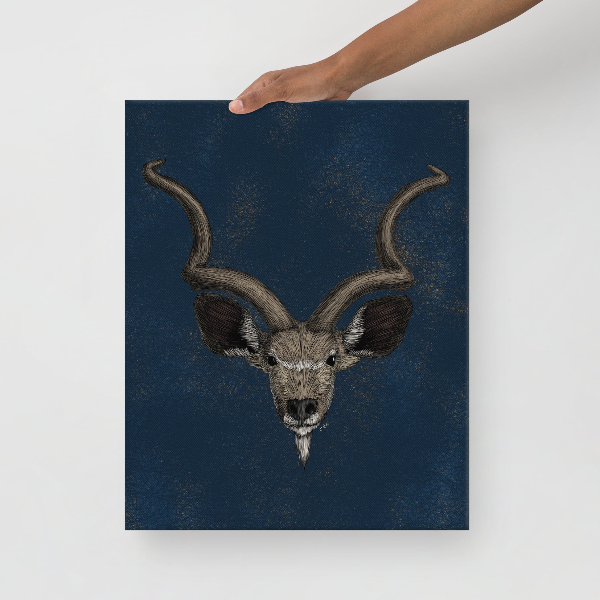Kudu, 2022
