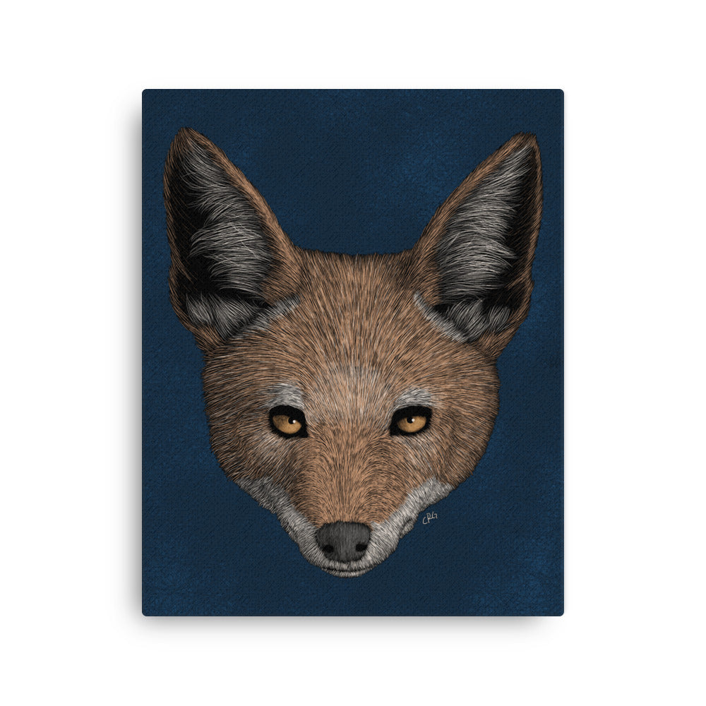 Jackal, 2021