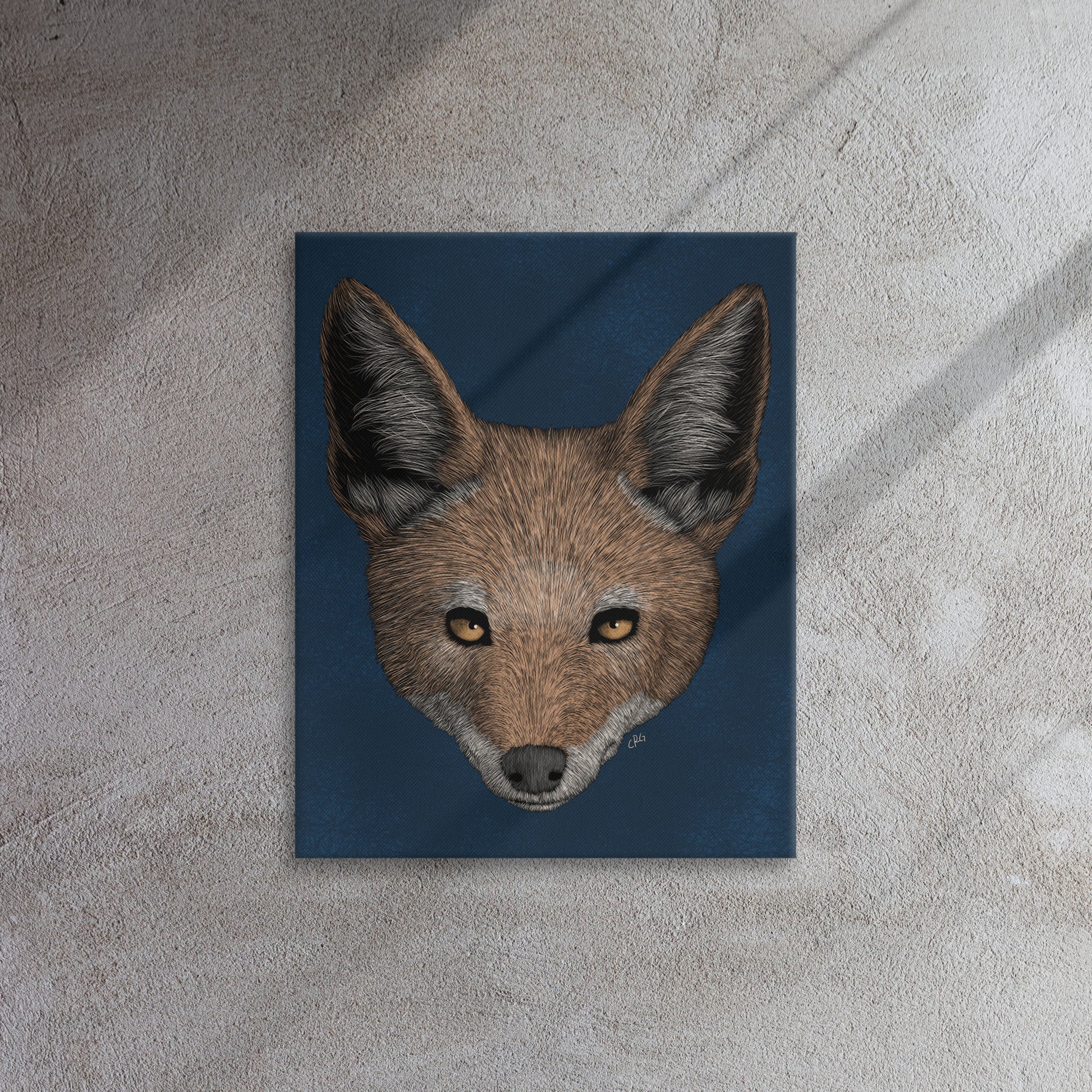 Jackal, 2021