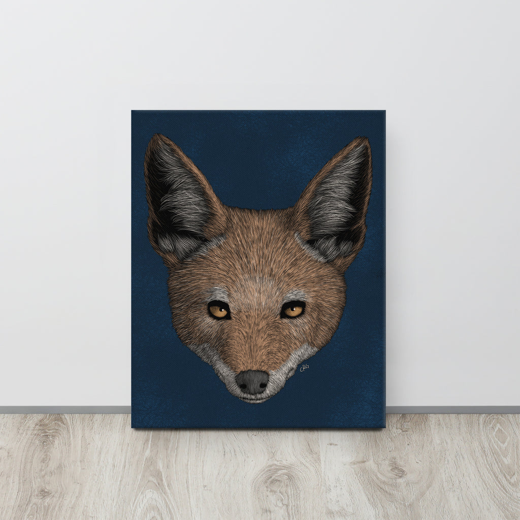 Jackal, 2021