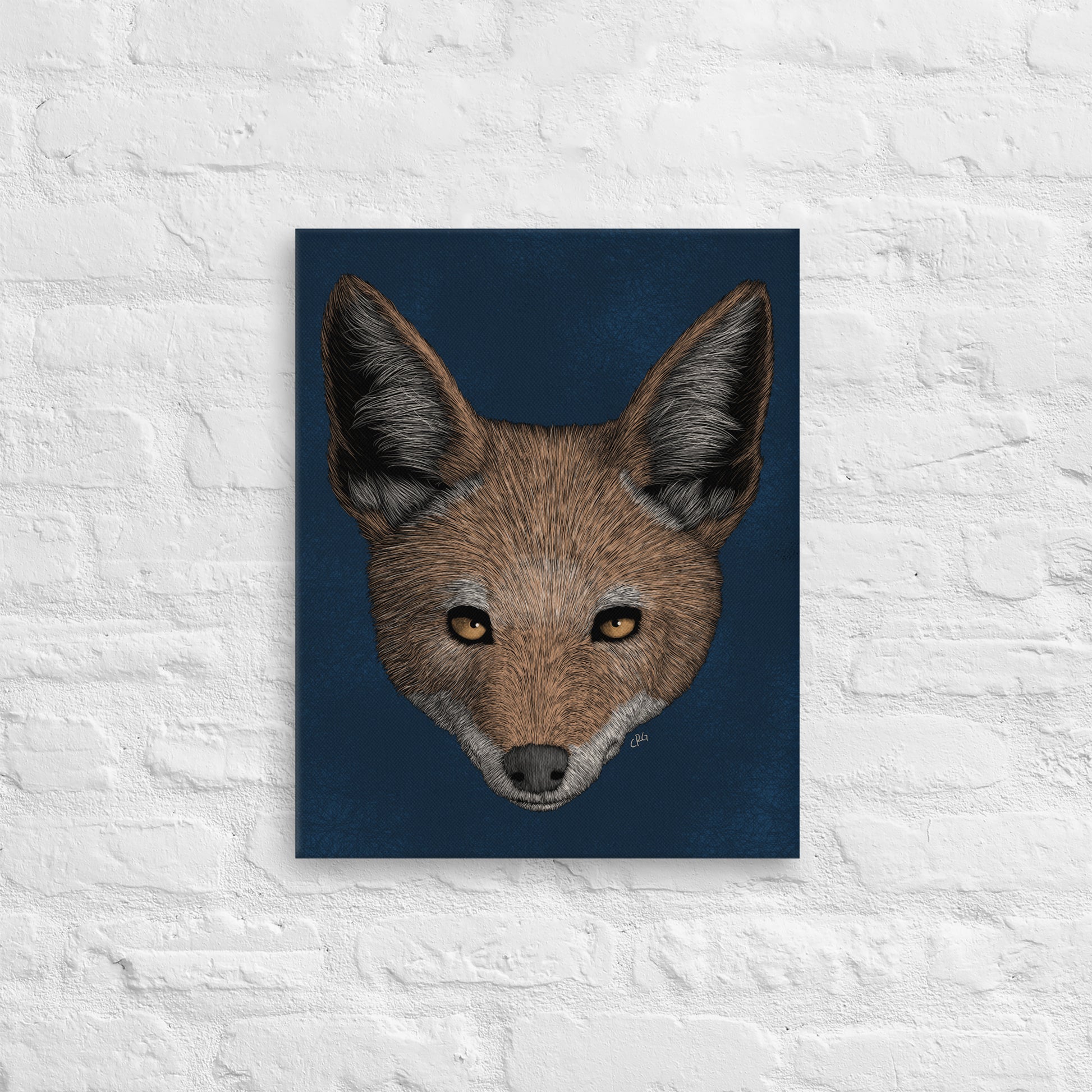 Jackal, 2021