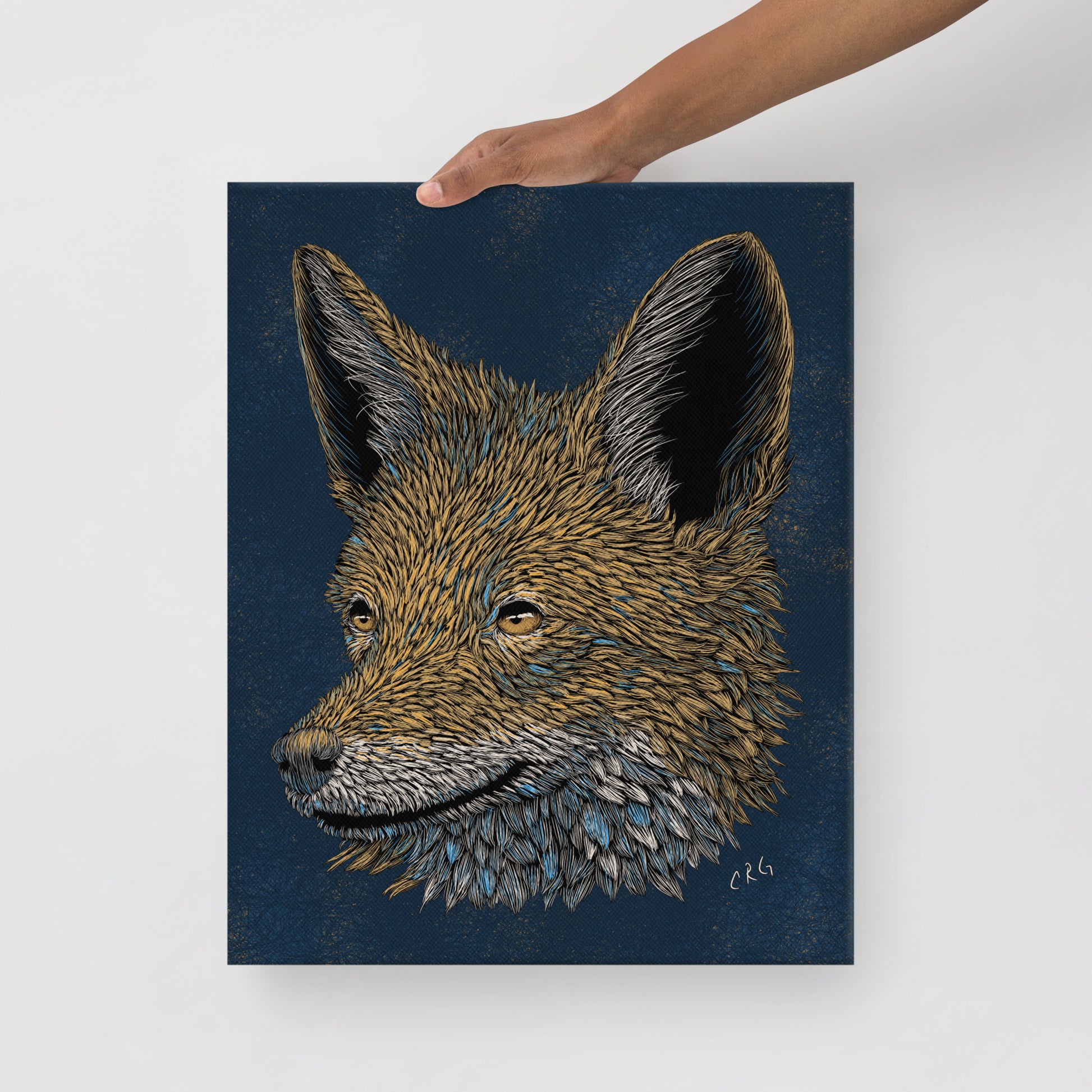 Stylized Jackal, 2023