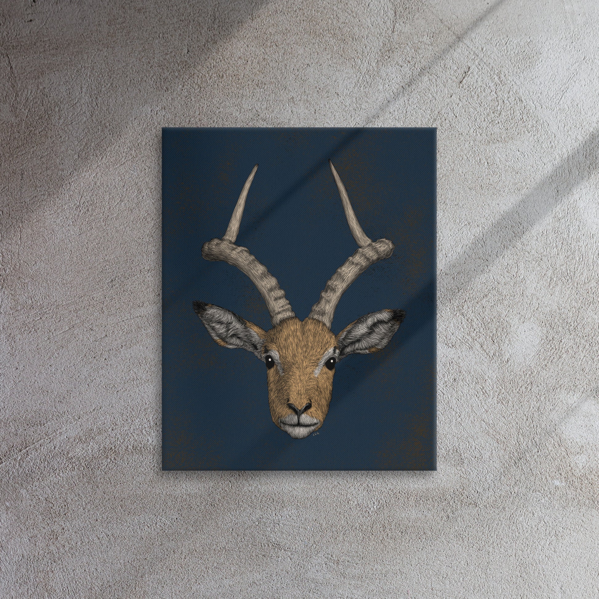 Impala Antelope, 2020