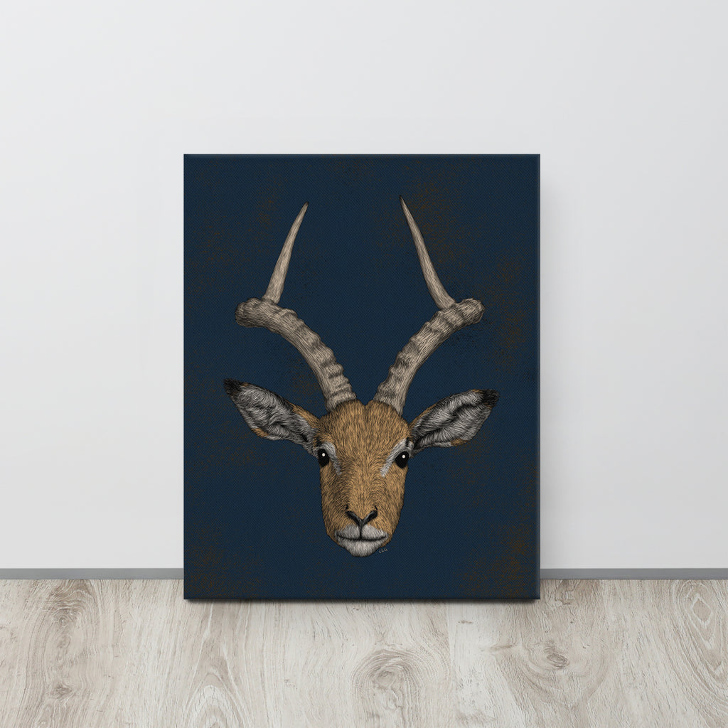 Impala Antelope, 2020