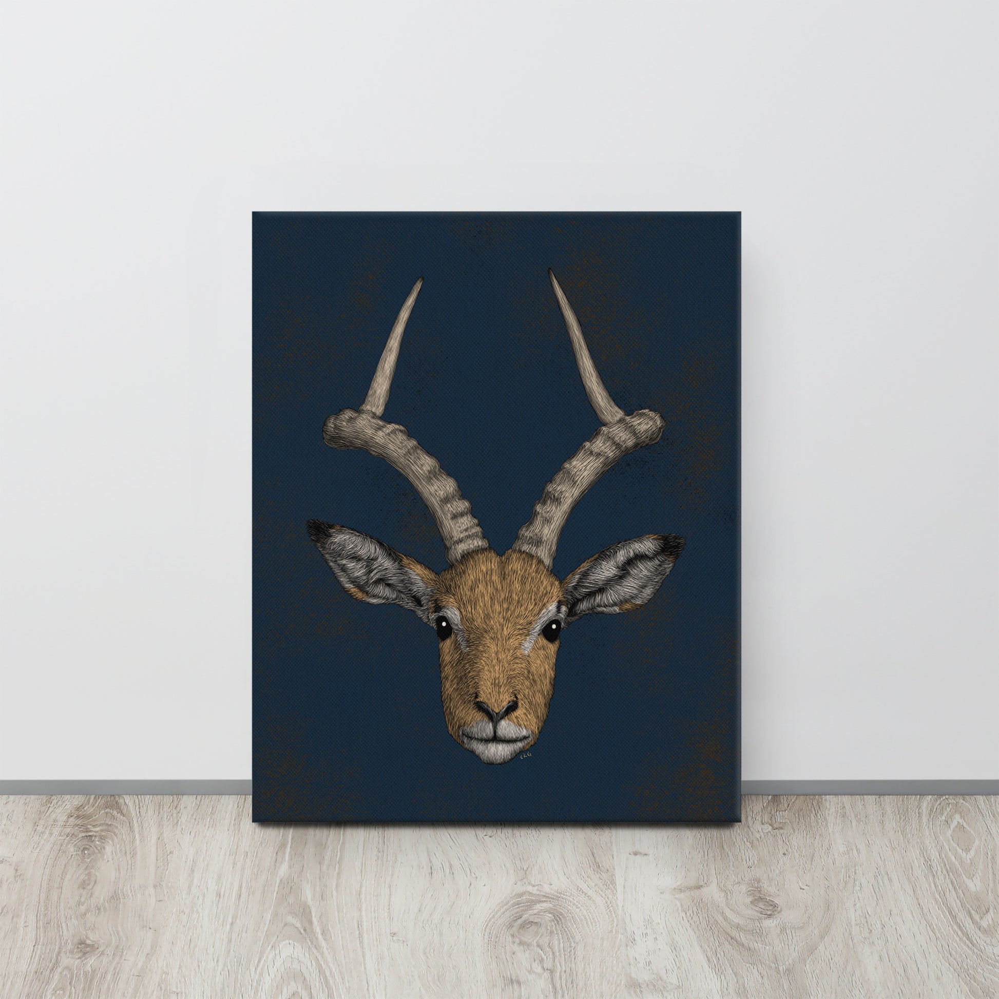 Impala Antelope, 2020
