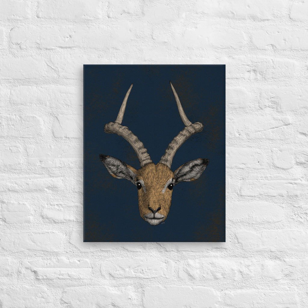 Impala Antelope, 2020