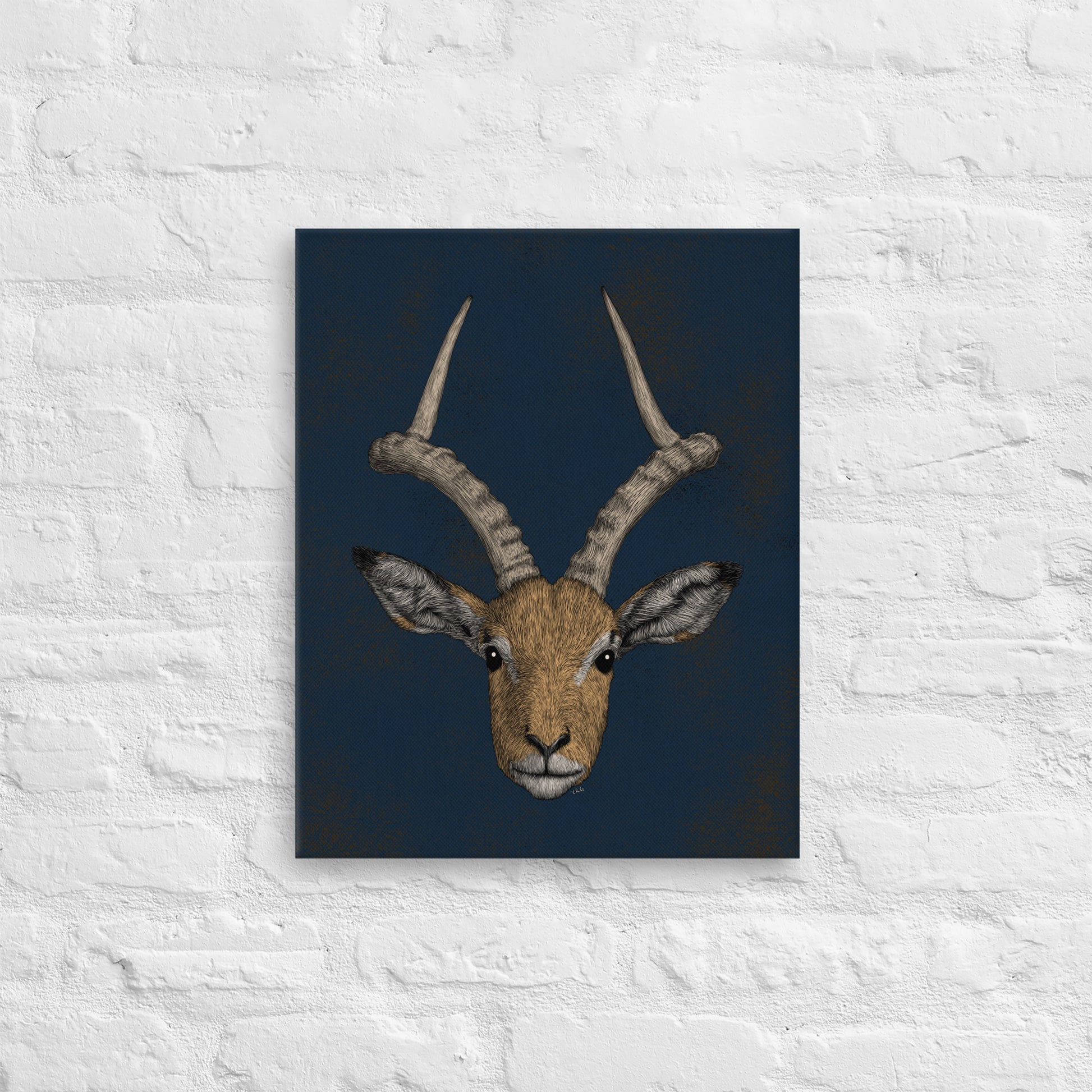 Impala Antelope, 2020