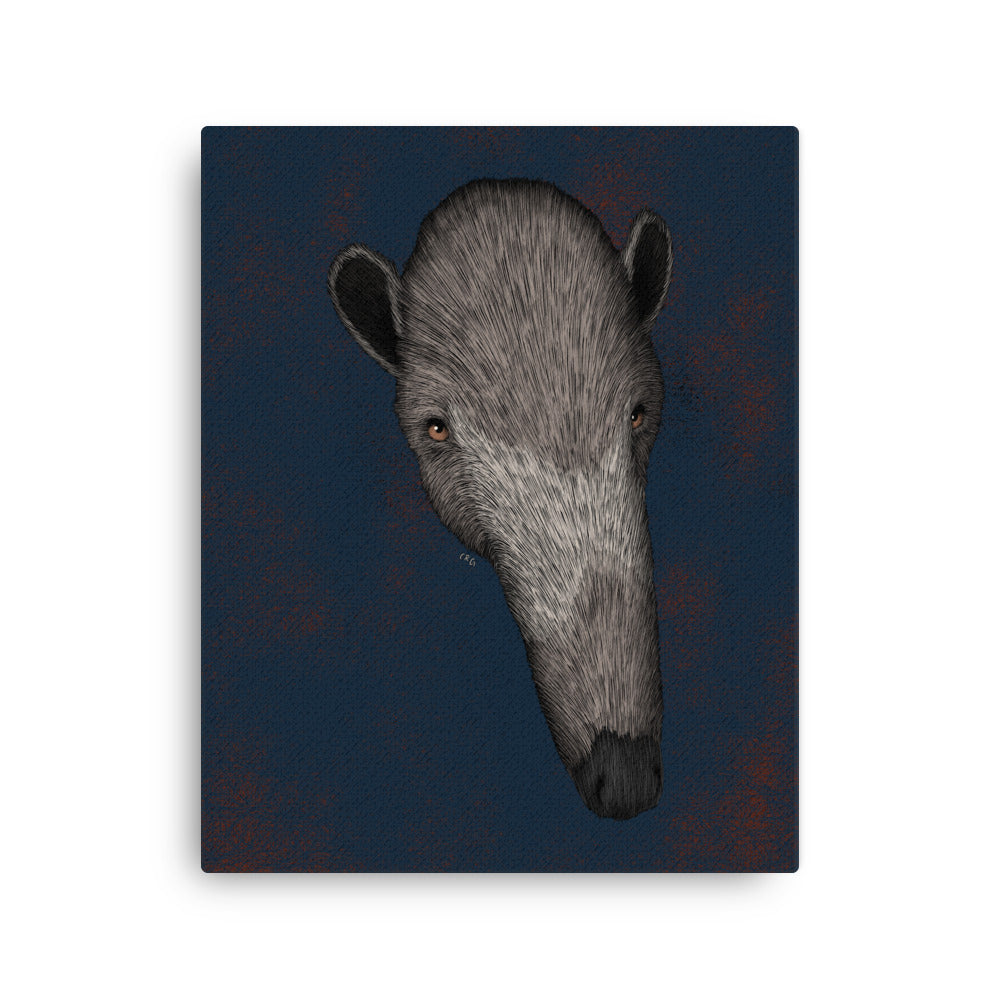 Giant Anteater, 2021