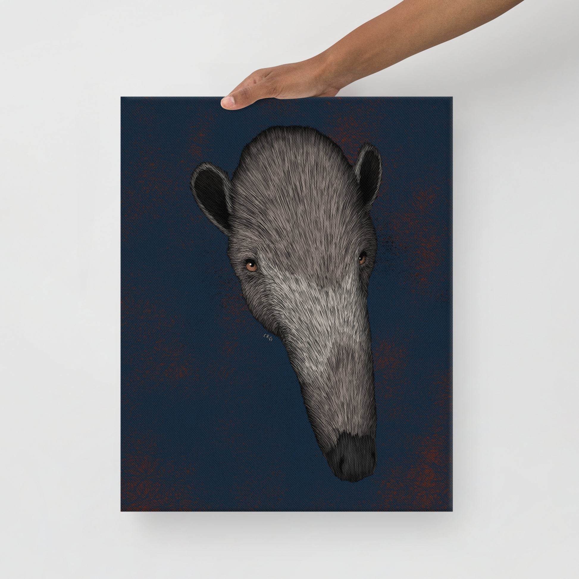 Giant Anteater, 2021