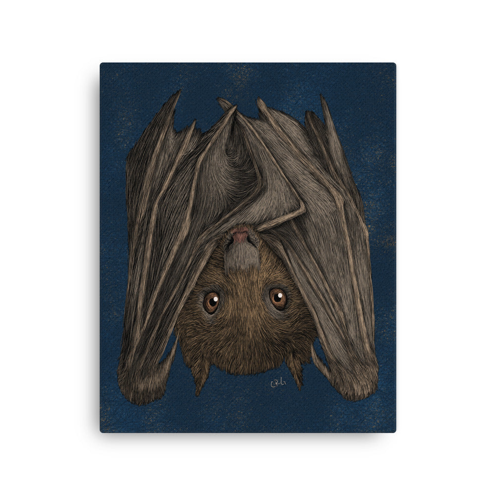 Fruit Bat, 2020