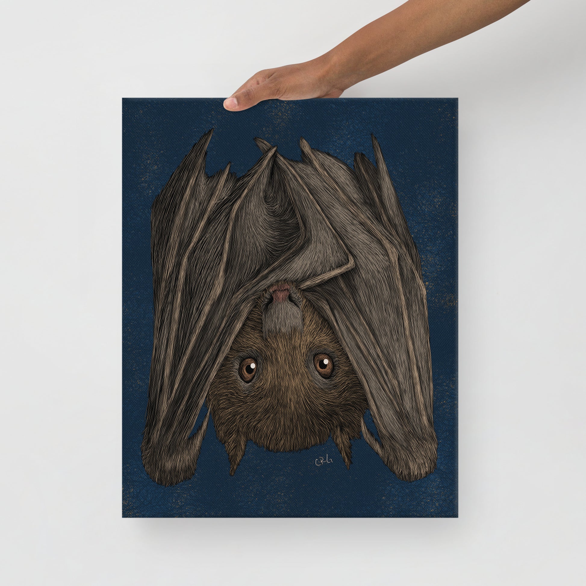 Fruit Bat, 2020