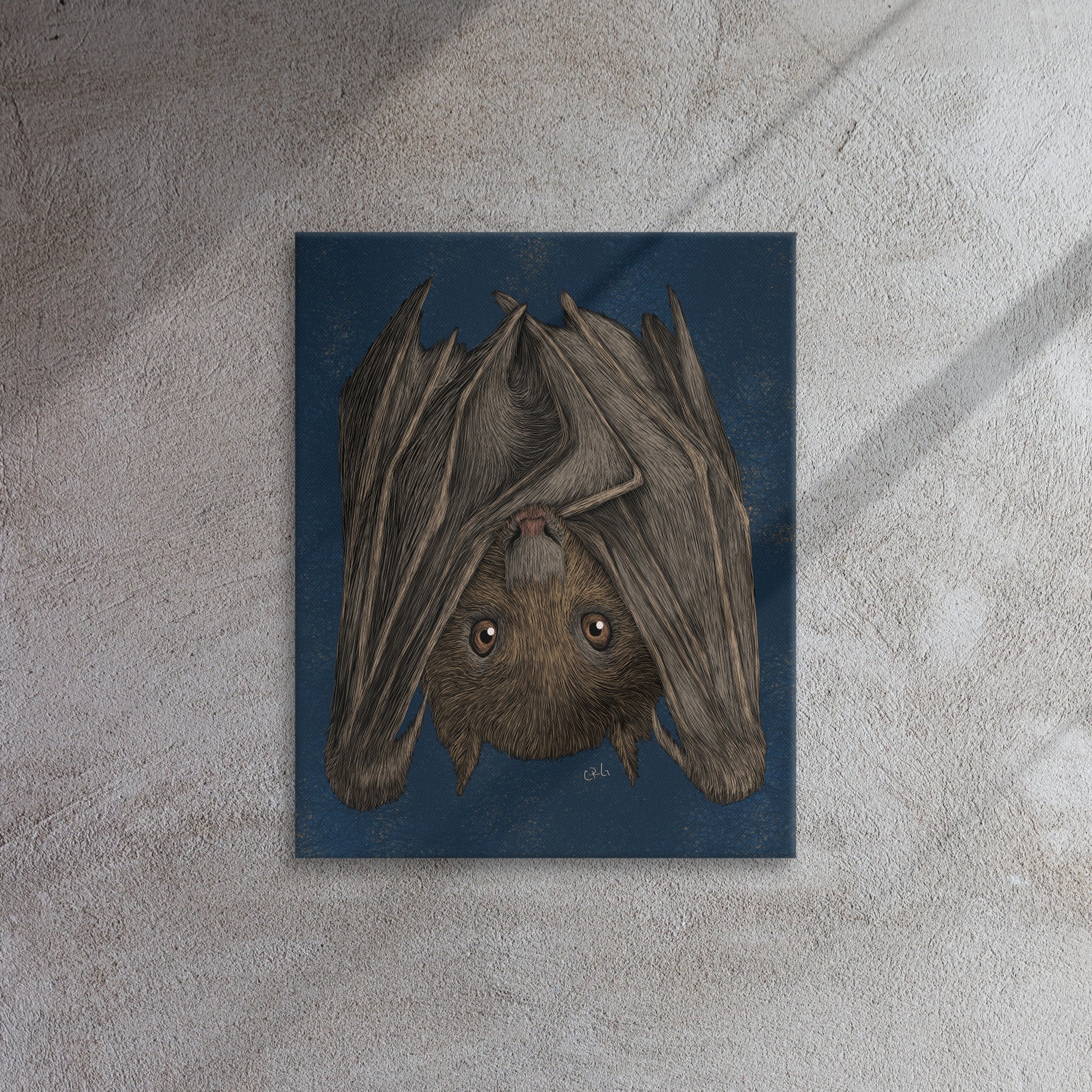 Fruit Bat, 2020