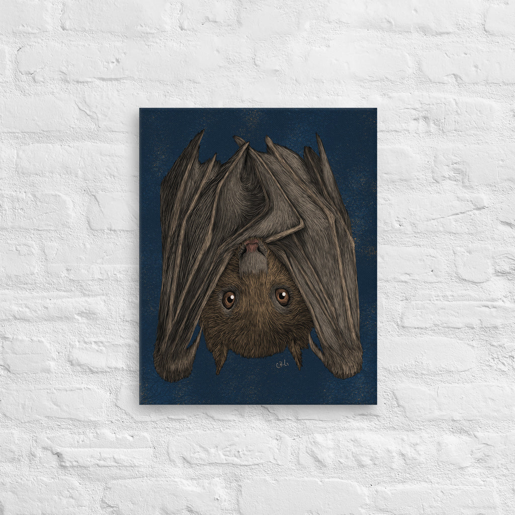 Fruit Bat, 2020