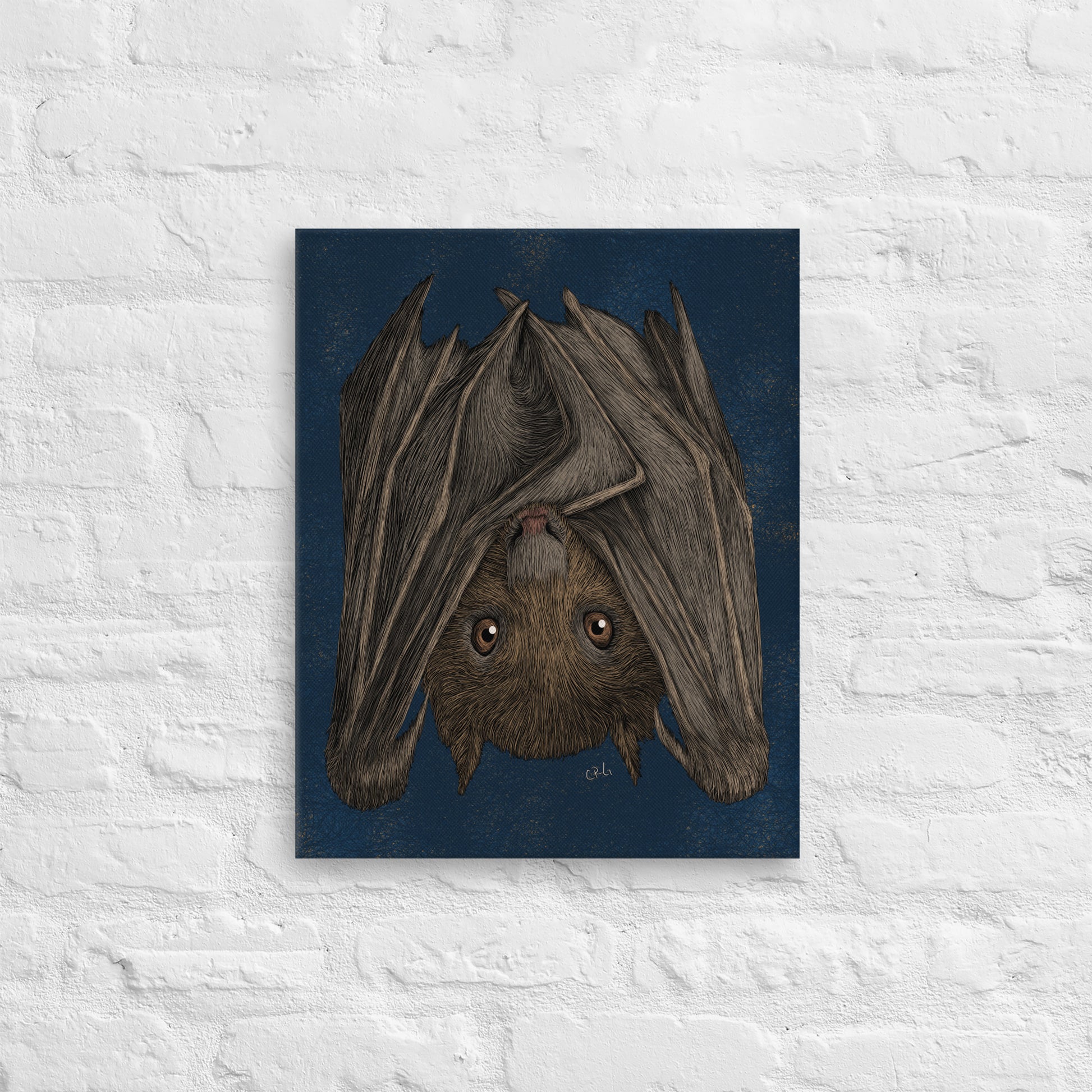 Fruit Bat, 2020