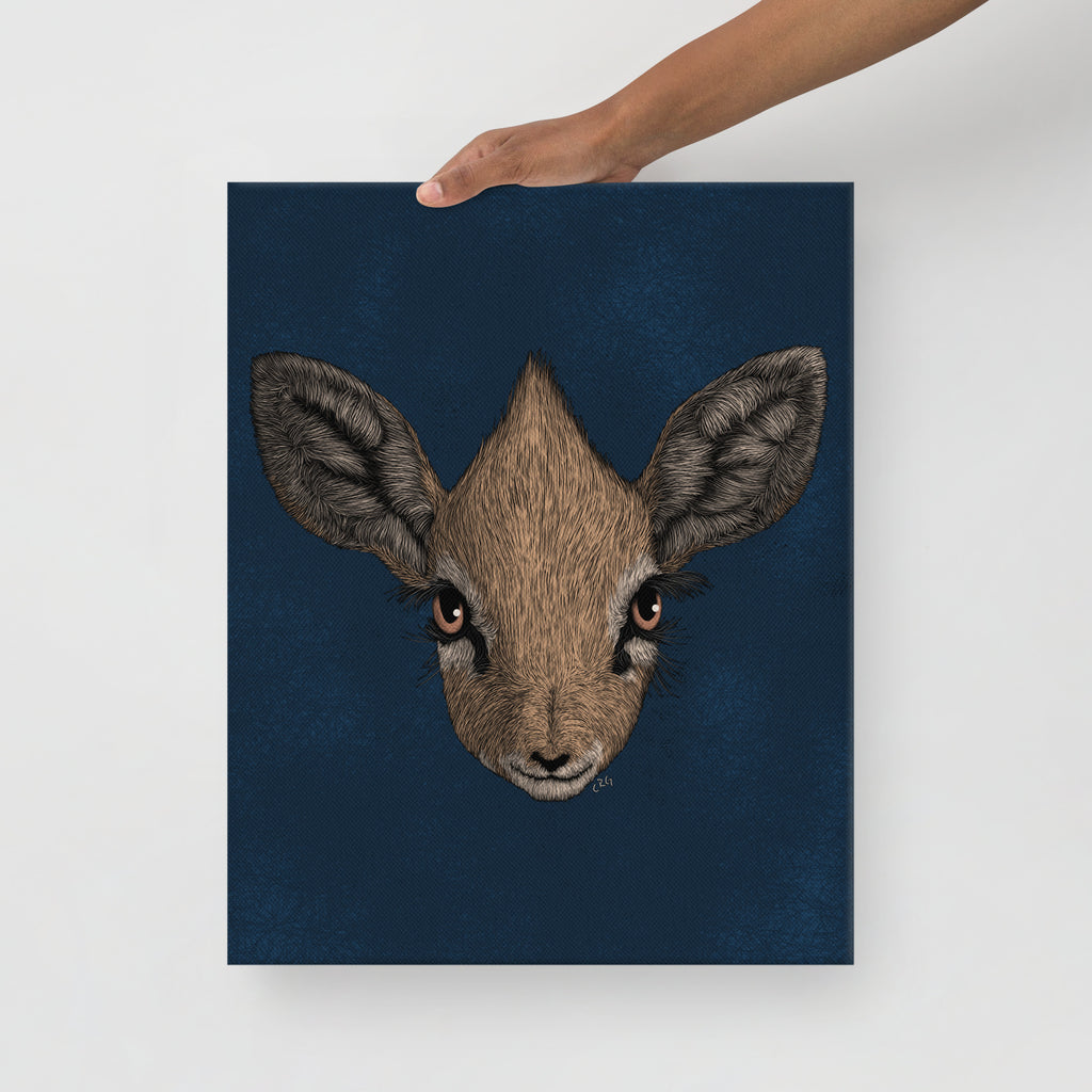 Dik-Dik, 2020