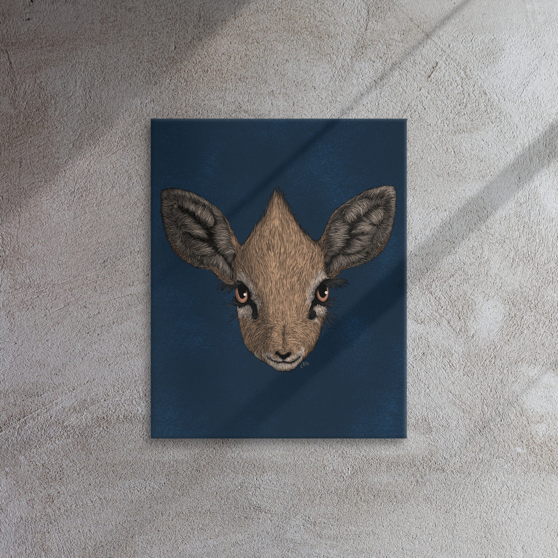 Dik-Dik, 2020