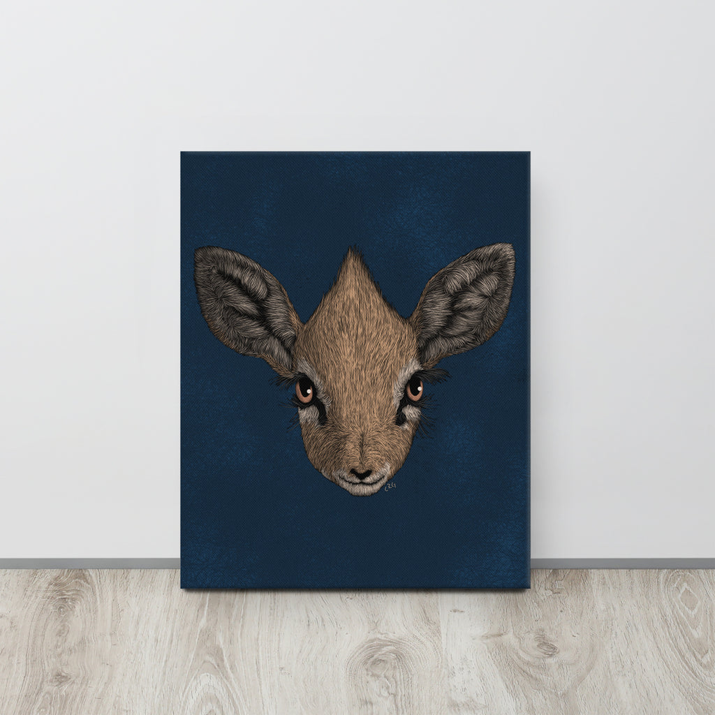 Dik-Dik, 2020