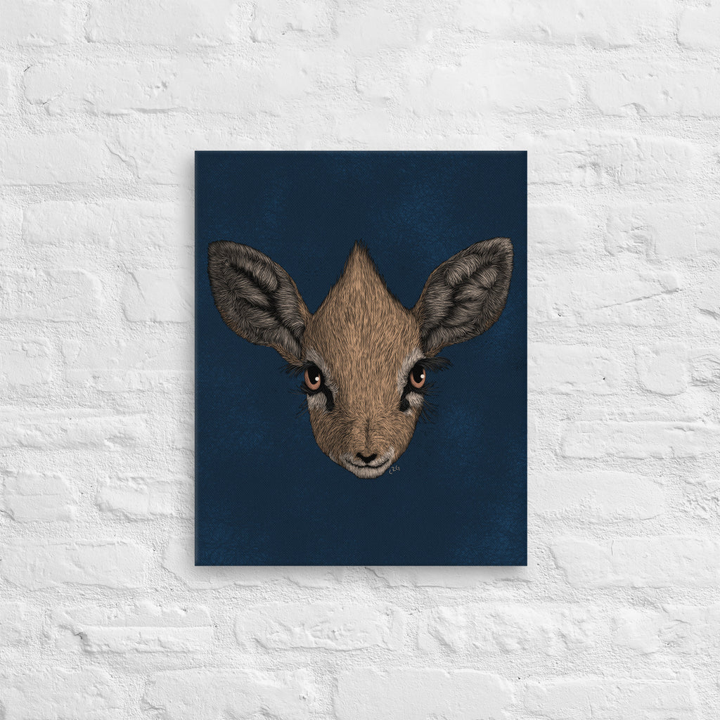 Dik-Dik, 2020
