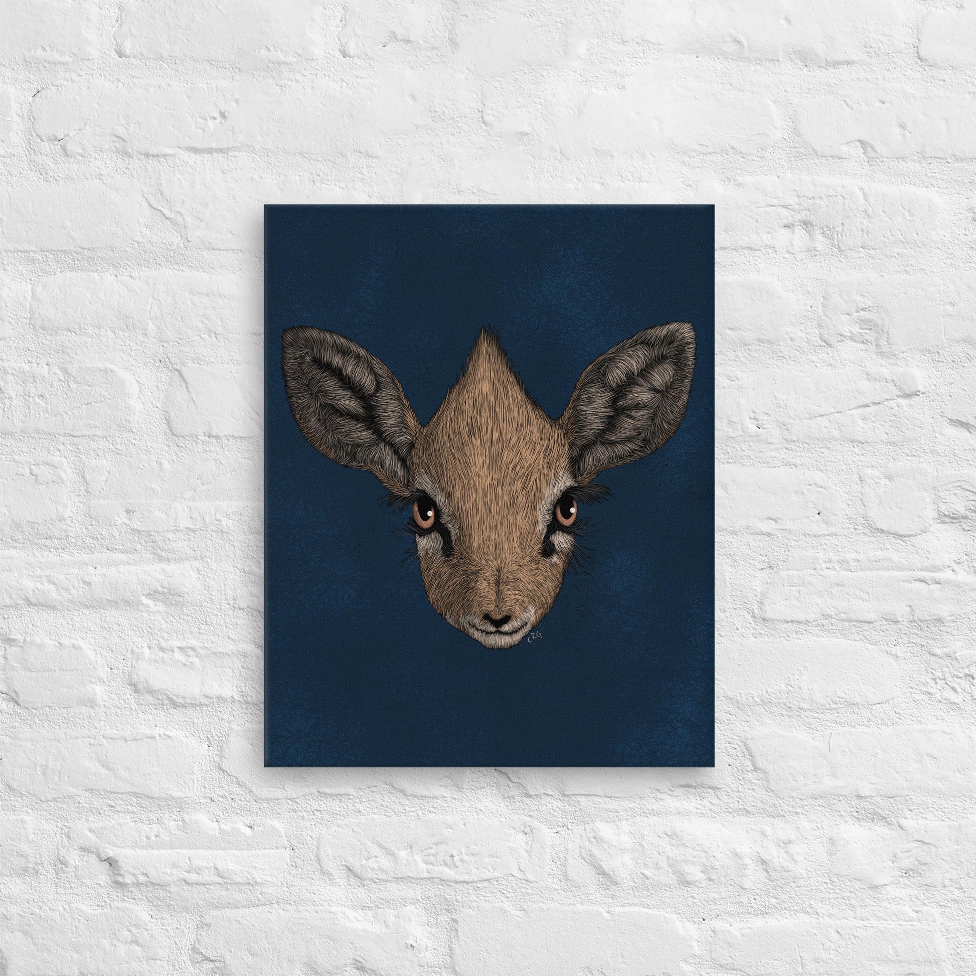 Dik-Dik, 2020