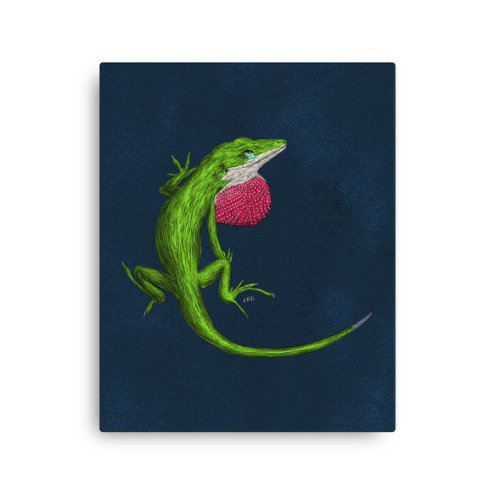Anole, 2022