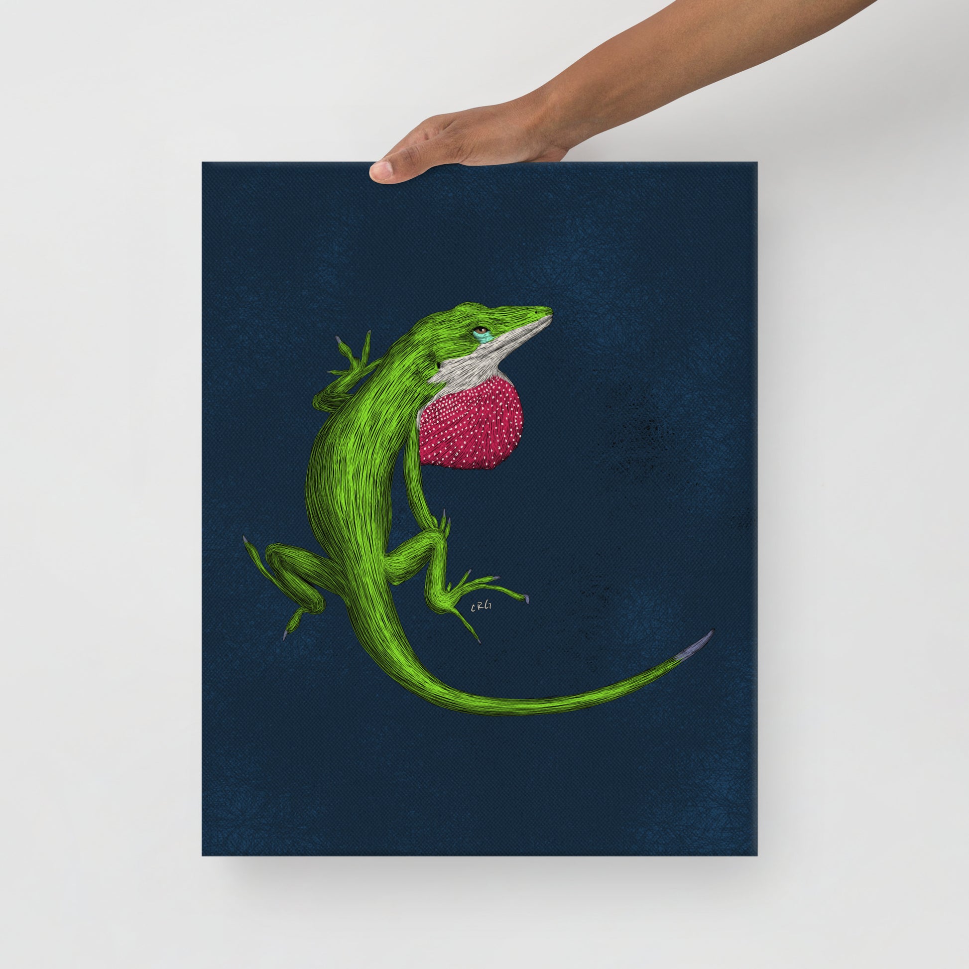 Anole, 2022