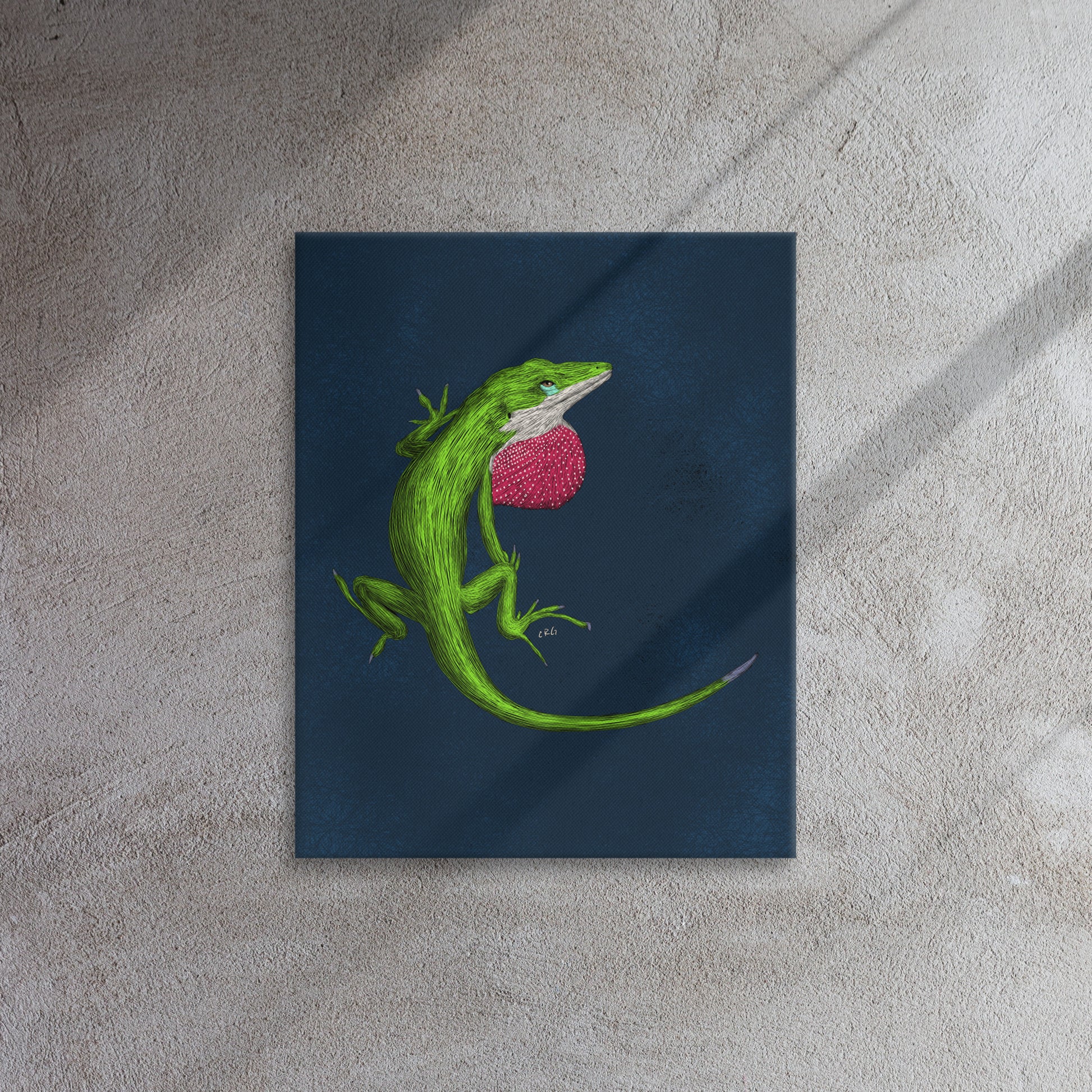 Anole, 2022