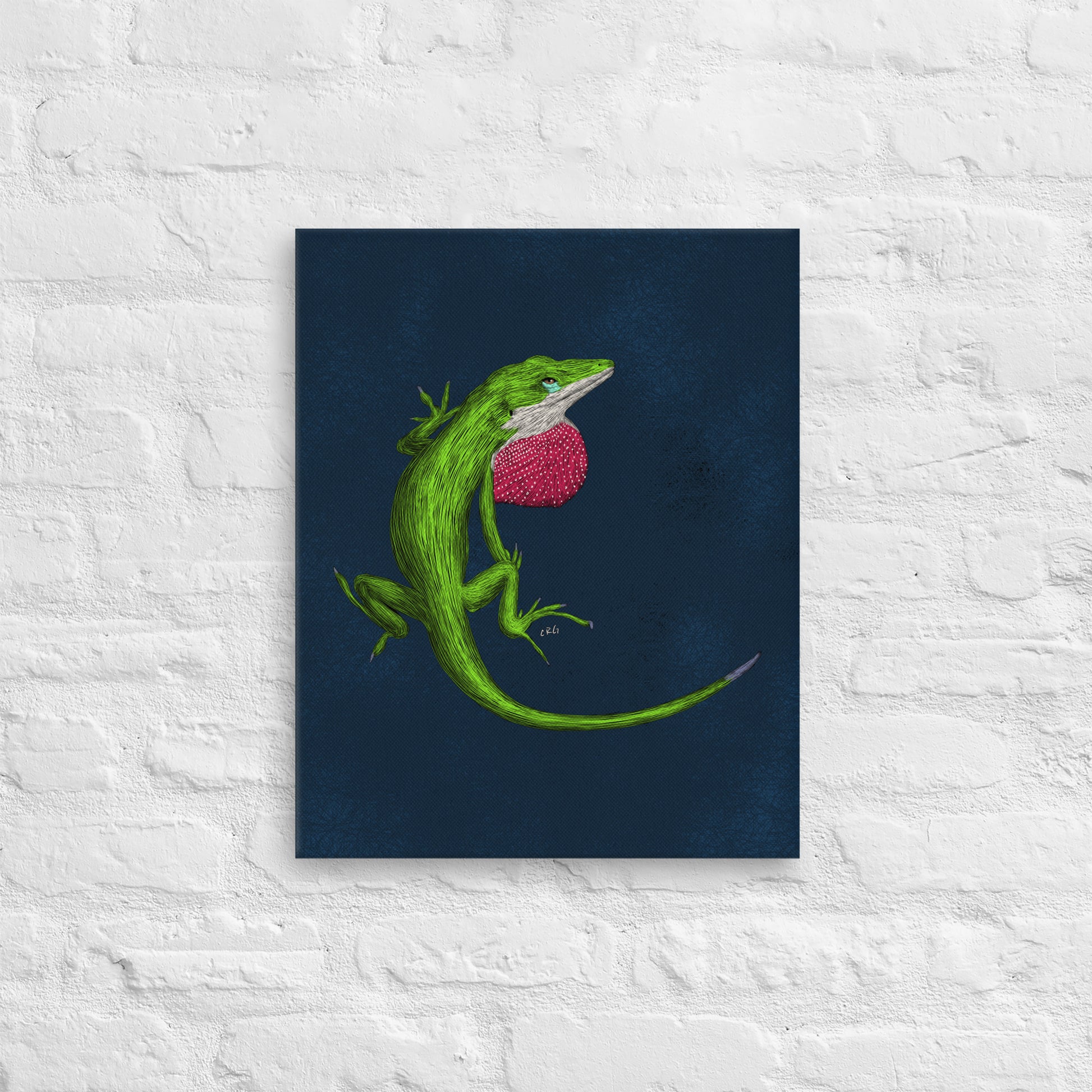 Anole, 2022