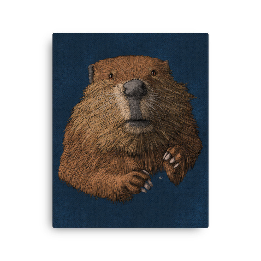 Beaver, 2019