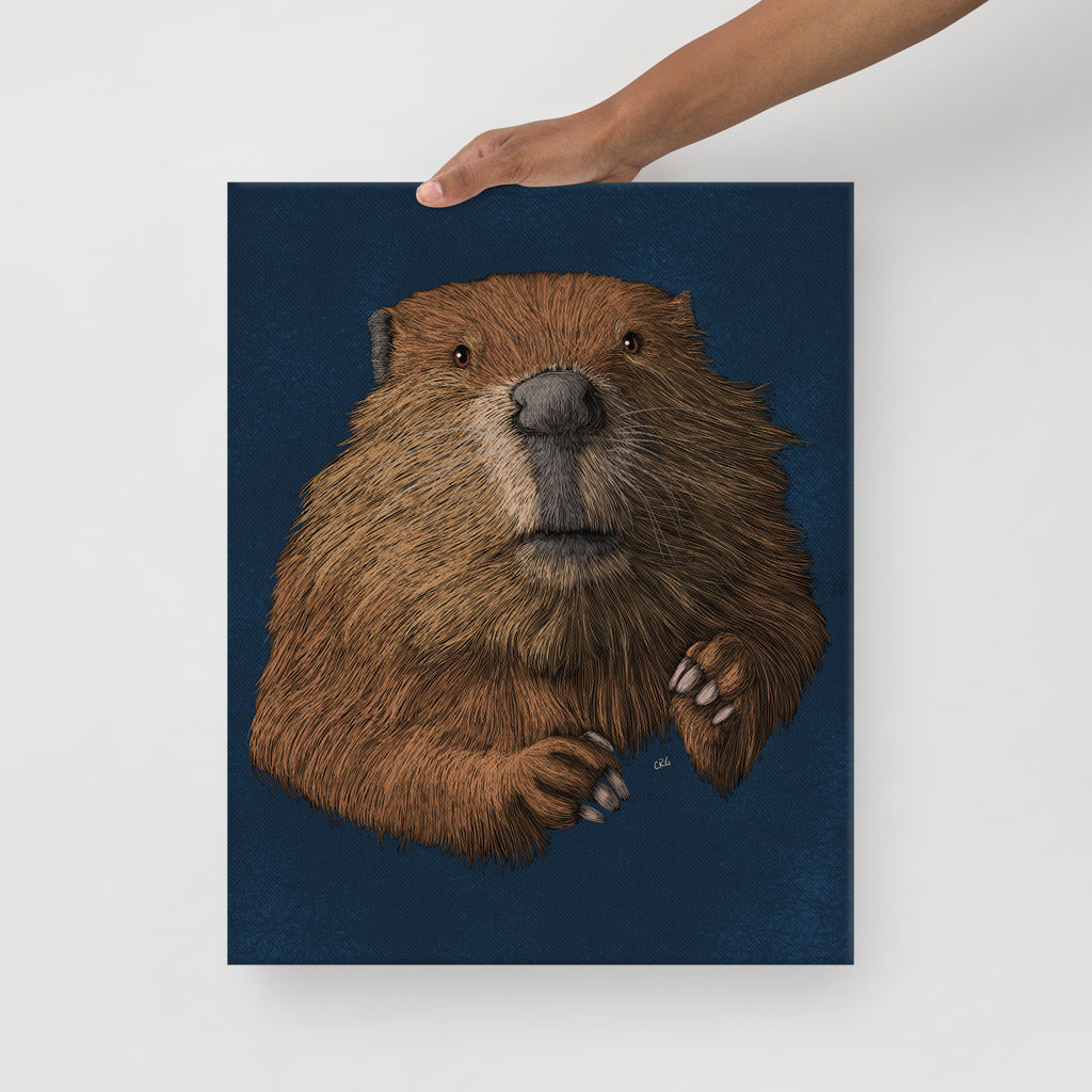 Beaver, 2019