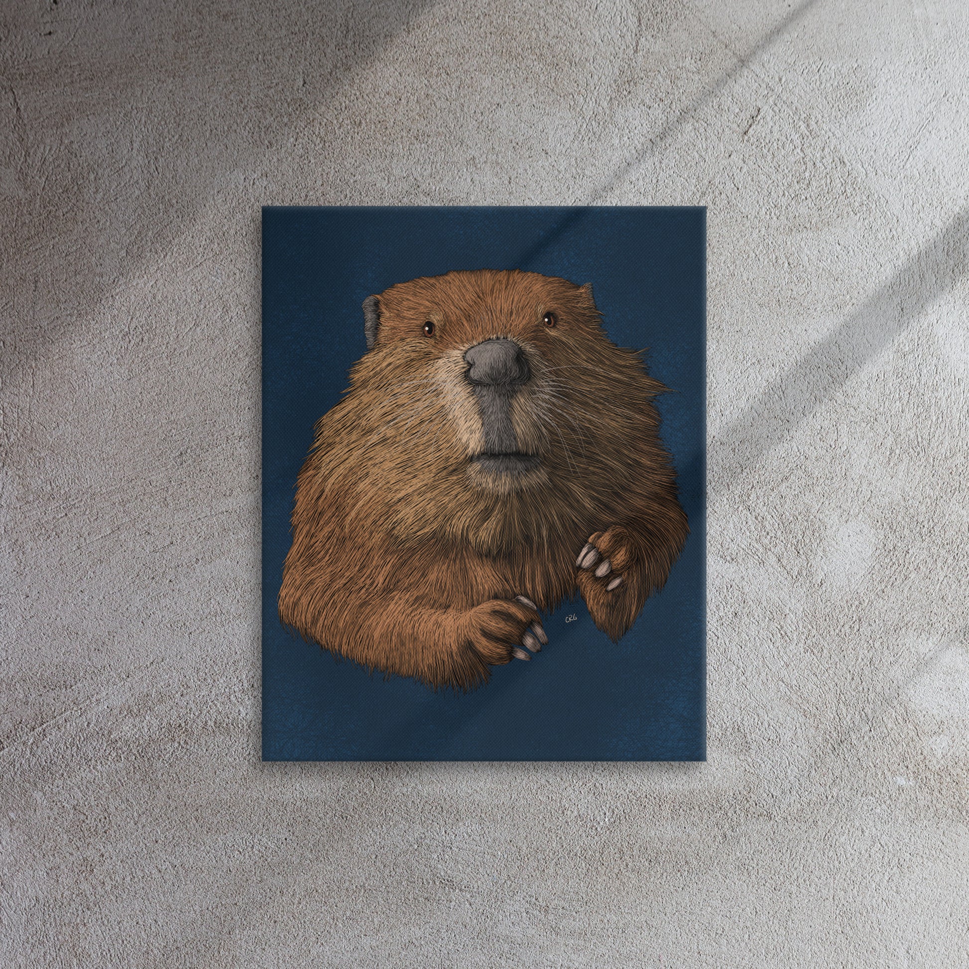 Beaver, 2019
