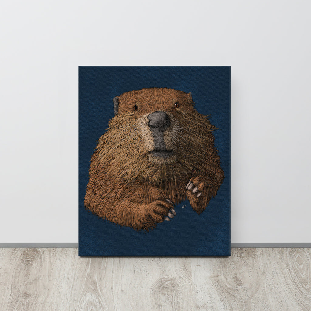 Beaver, 2019