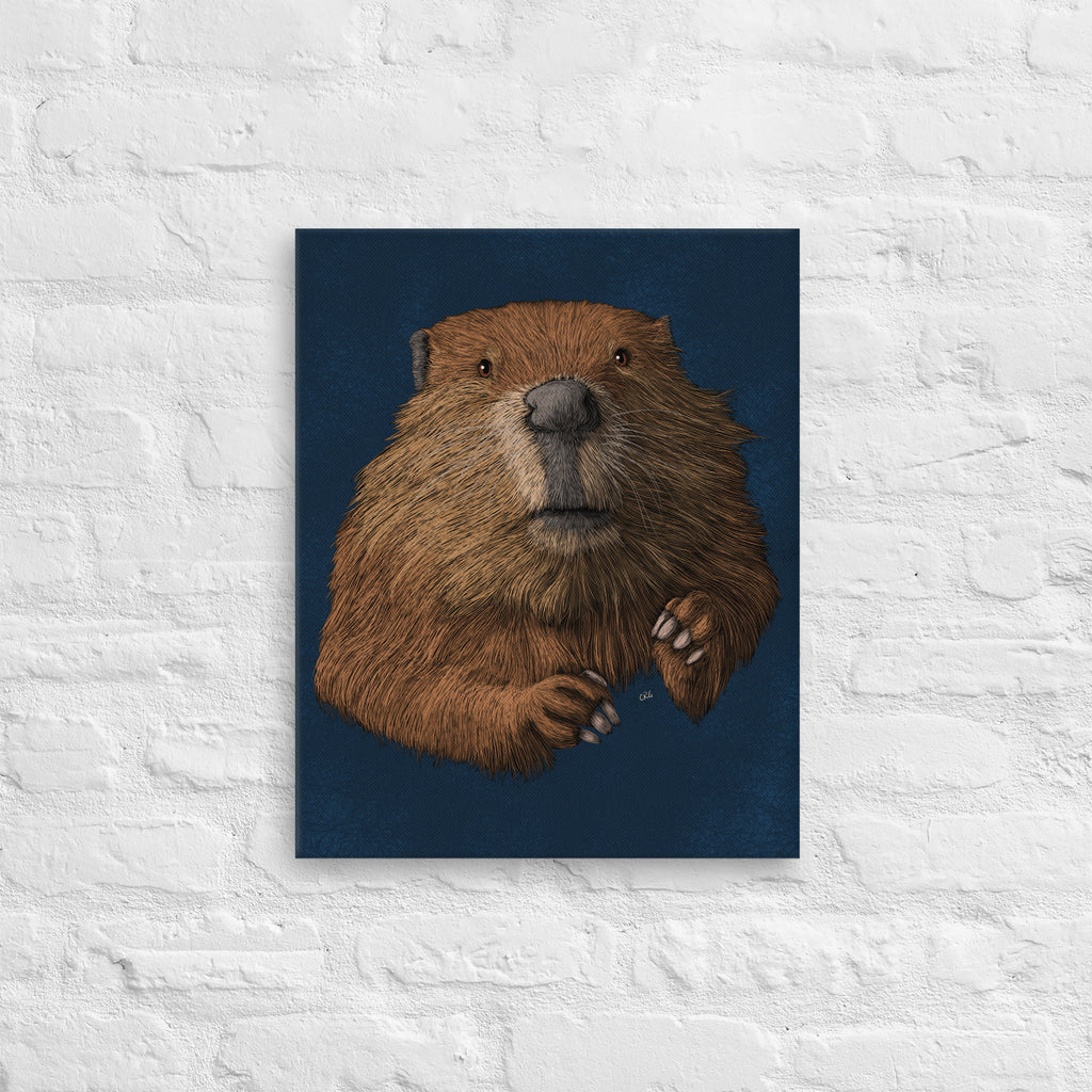 Beaver, 2019