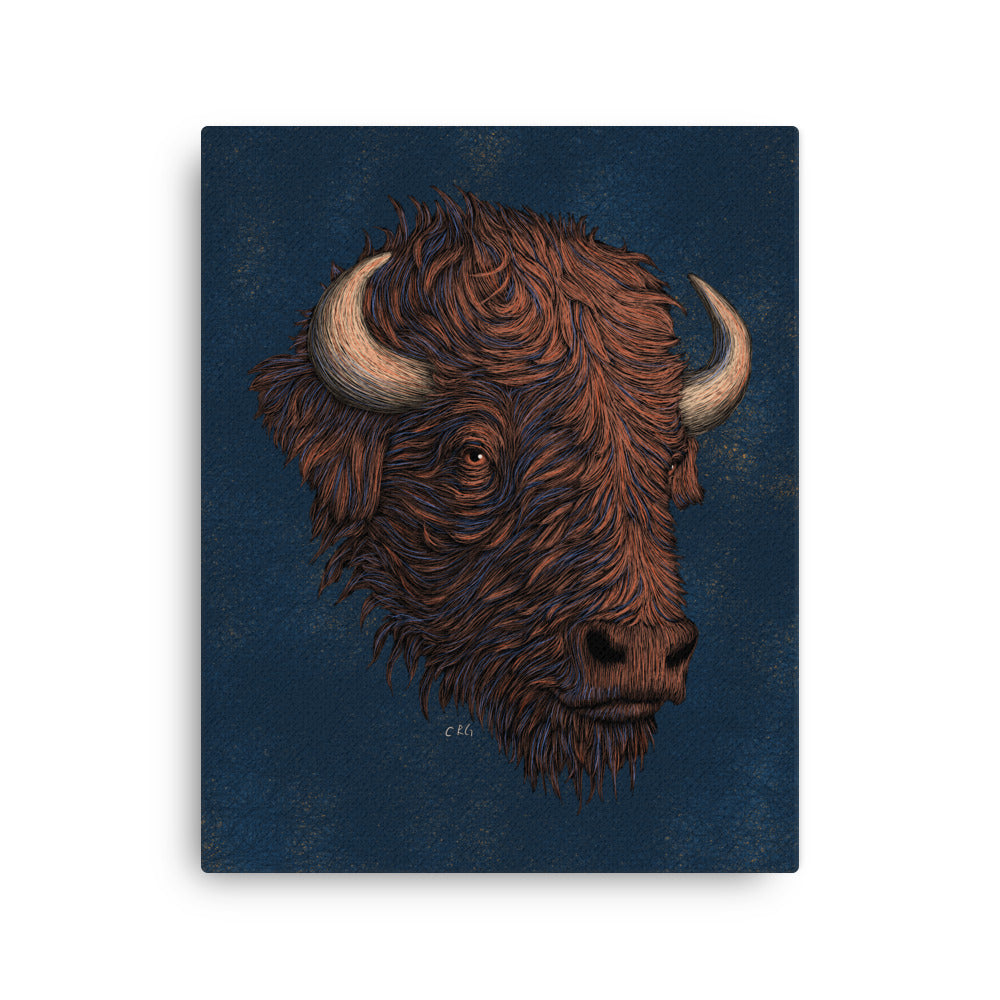 Stylized Bison, 2022