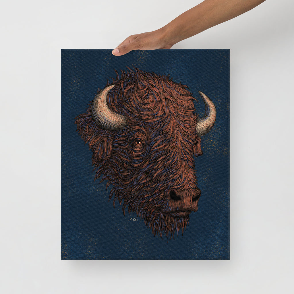 Stylized Bison, 2022