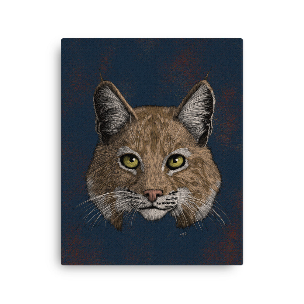 Bobcat, 2020