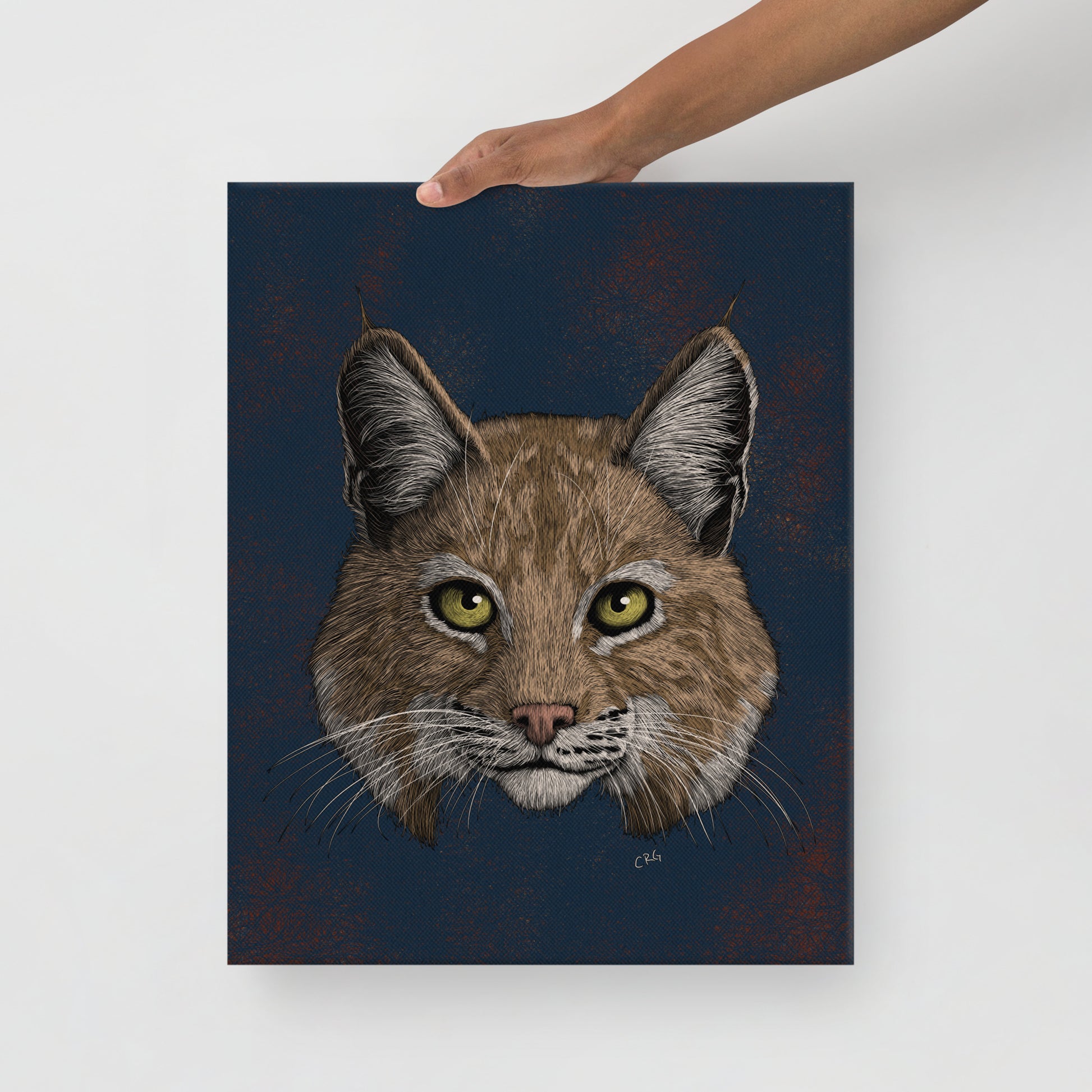 Bobcat, 2020