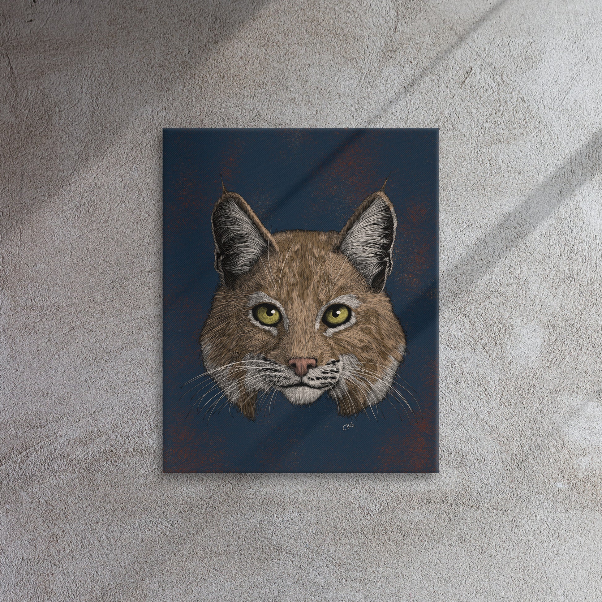 Bobcat, 2020