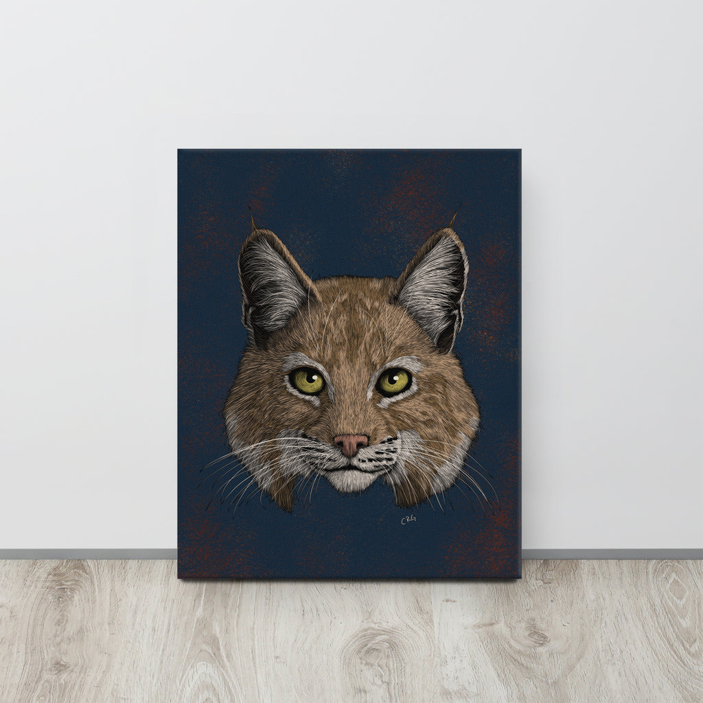 Bobcat, 2020
