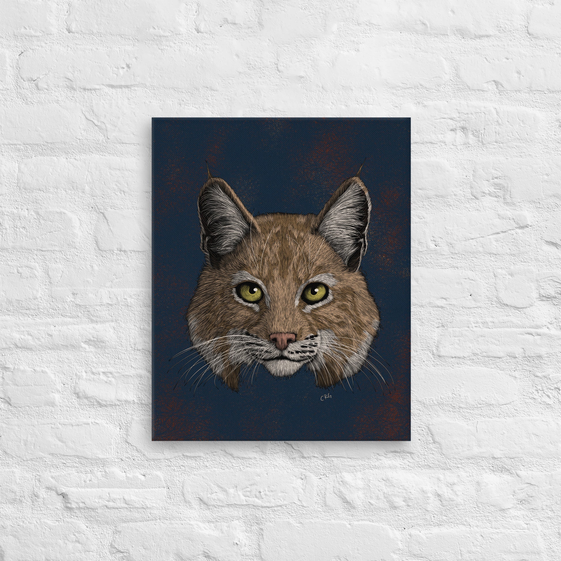 Bobcat, 2020