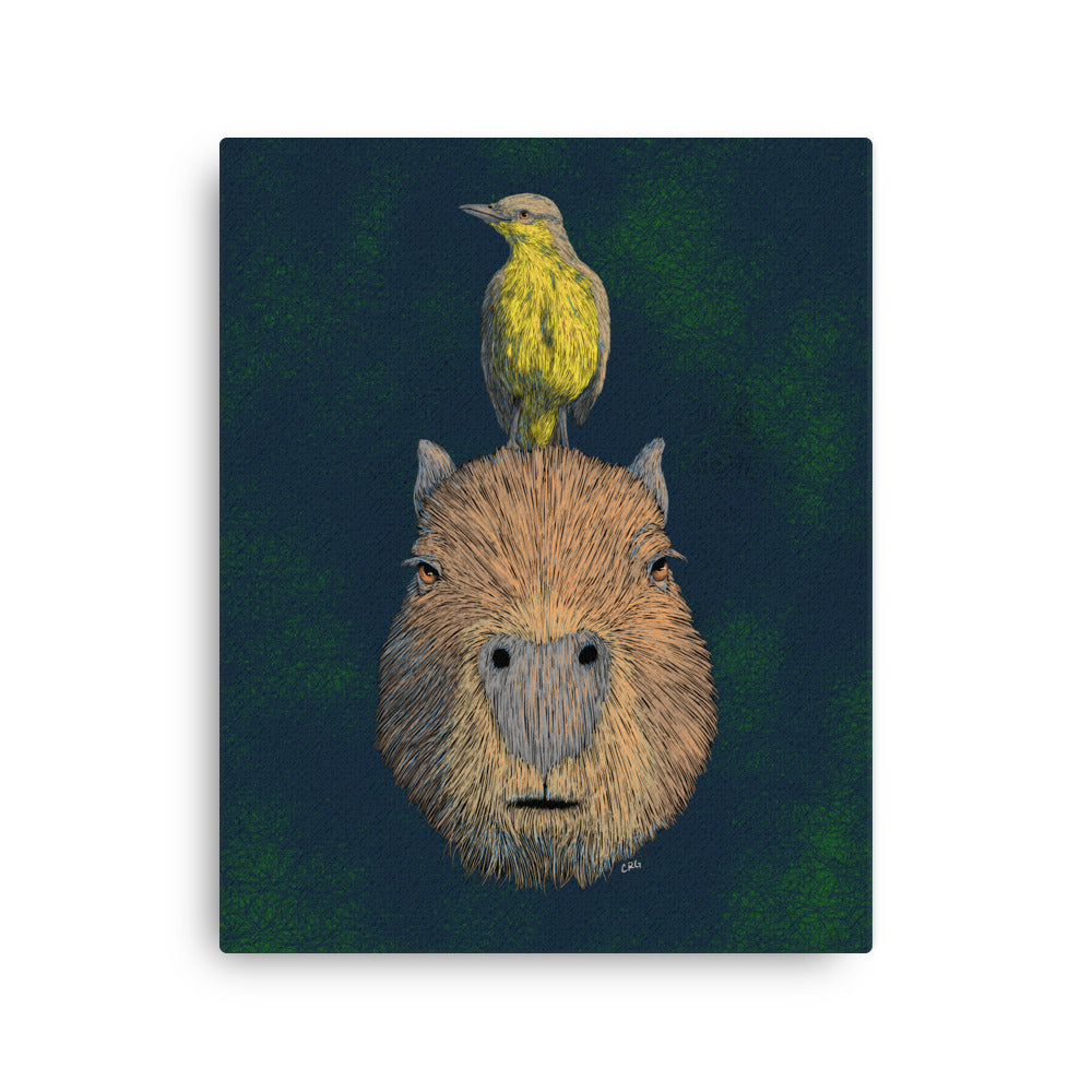 Capybara and Cattle Tyrant, 2024
