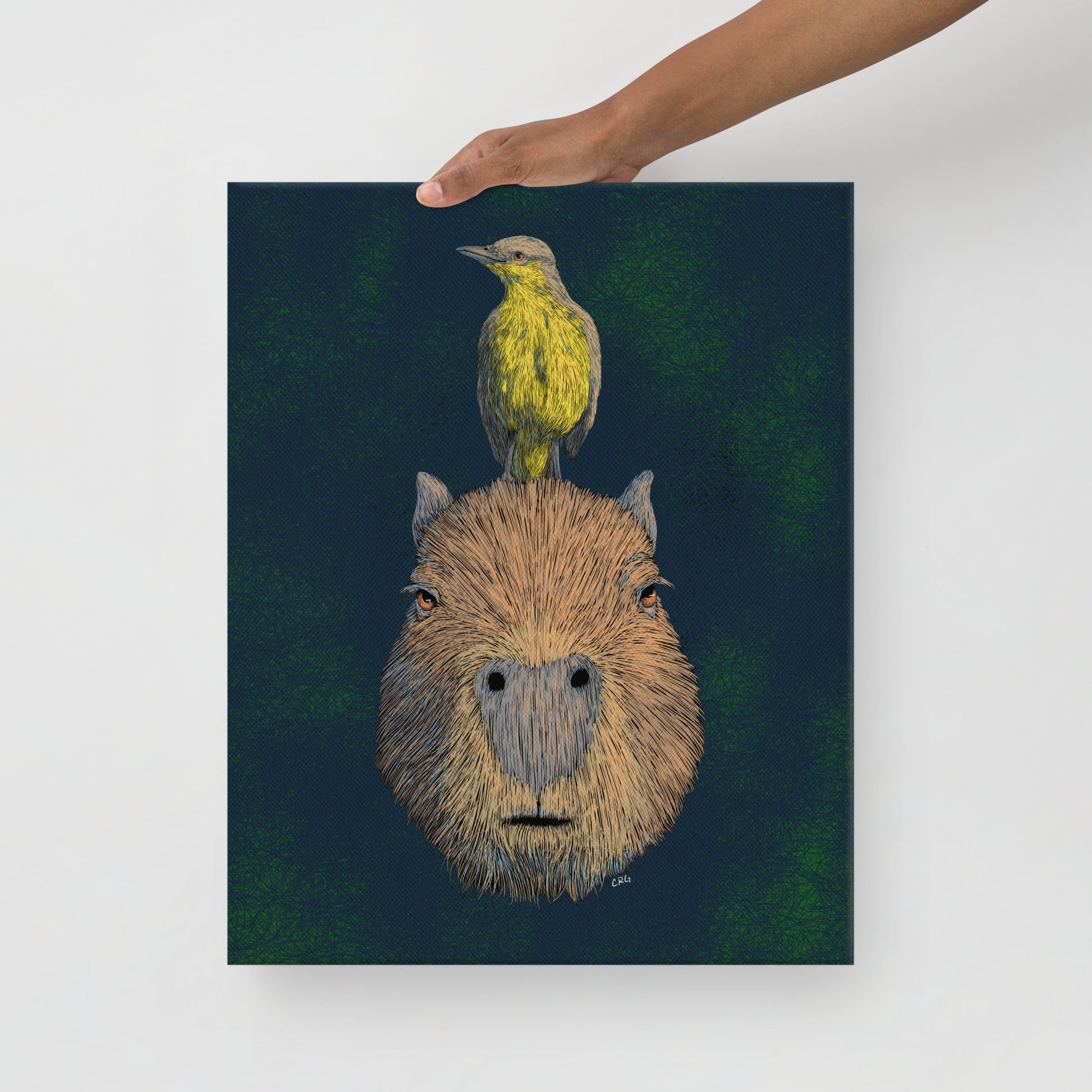 Capybara and Cattle Tyrant, 2024